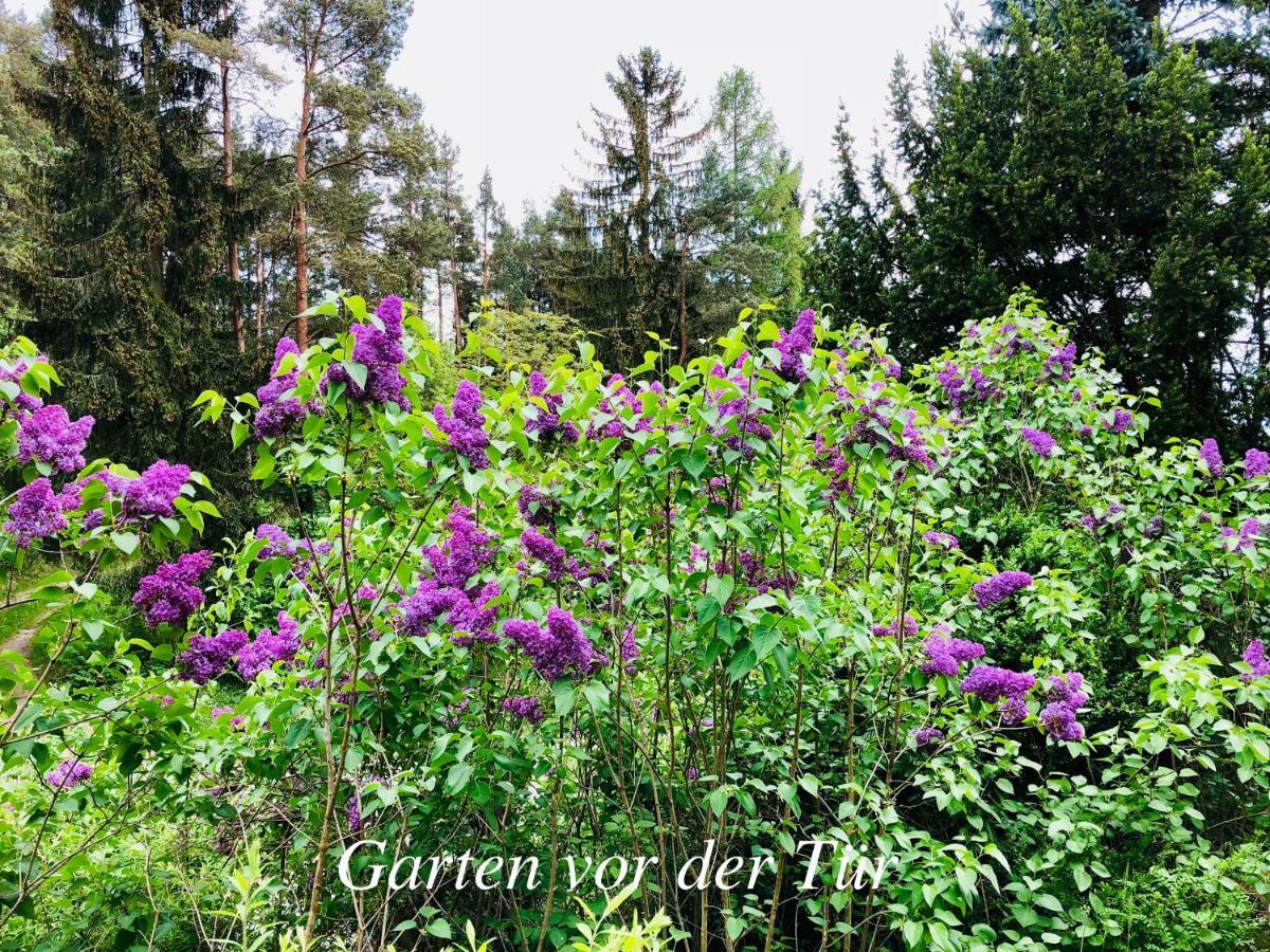 Ferienhaus Enjoy Hiking *